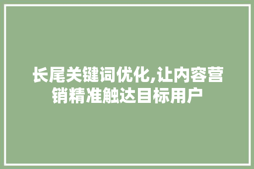 长尾关键词优化,让内容营销精准触达目标用户