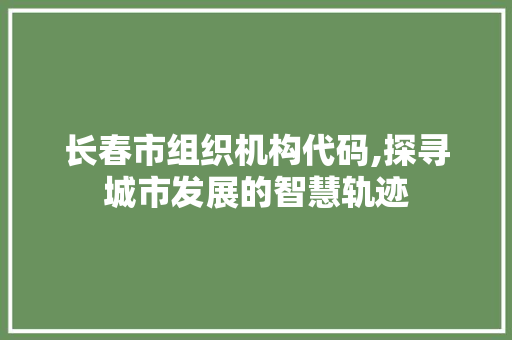 长春市组织机构代码,探寻城市发展的智慧轨迹