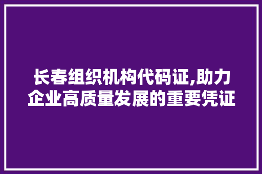 长春组织机构代码证,助力企业高质量发展的重要凭证