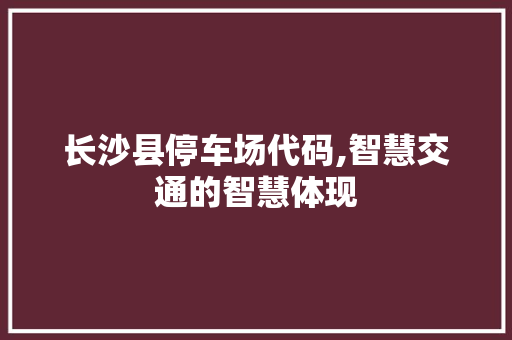 长沙县停车场代码,智慧交通的智慧体现