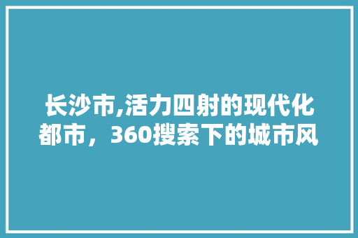 长沙市,活力四射的现代化都市，360搜索下的城市风采