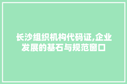 长沙组织机构代码证,企业发展的基石与规范窗口