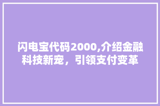 闪电宝代码2000,介绍金融科技新宠，引领支付变革