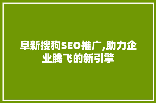 阜新搜狗SEO推广,助力企业腾飞的新引擎