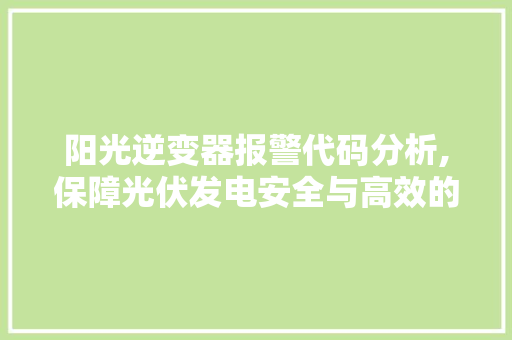 阳光逆变器报警代码分析,保障光伏发电安全与高效的关键一环