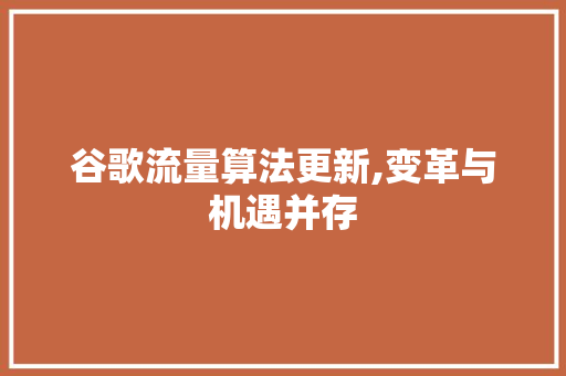 谷歌流量算法更新,变革与机遇并存