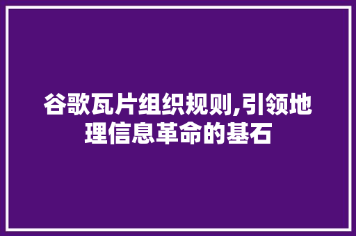 谷歌瓦片组织规则,引领地理信息革命的基石