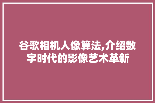 谷歌相机人像算法,介绍数字时代的影像艺术革新