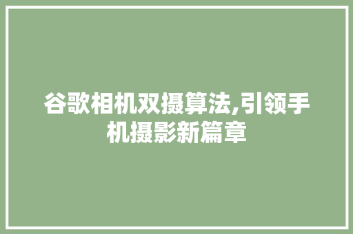 谷歌相机双摄算法,引领手机摄影新篇章