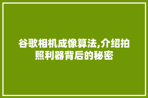 谷歌相机成像算法,介绍拍照利器背后的秘密