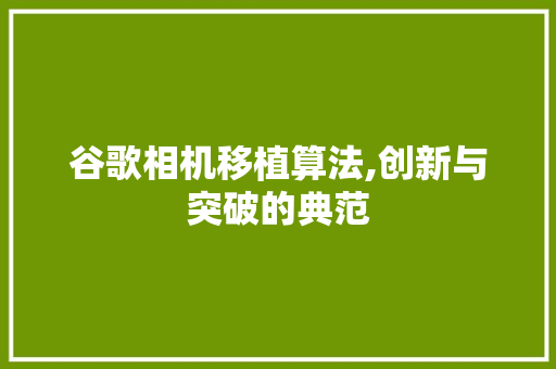 谷歌相机移植算法,创新与突破的典范