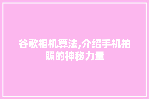 谷歌相机算法,介绍手机拍照的神秘力量