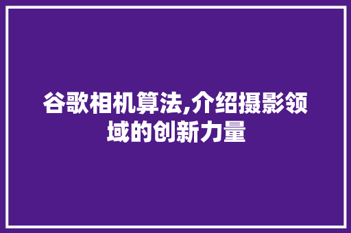 谷歌相机算法,介绍摄影领域的创新力量