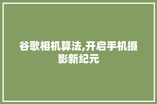 谷歌相机算法,开启手机摄影新纪元