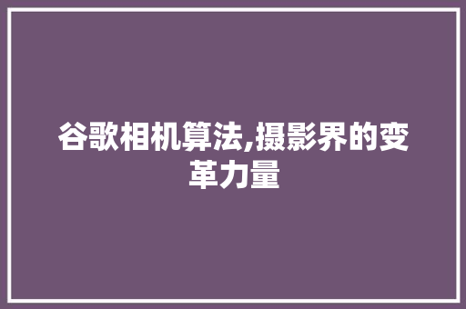 谷歌相机算法,摄影界的变革力量