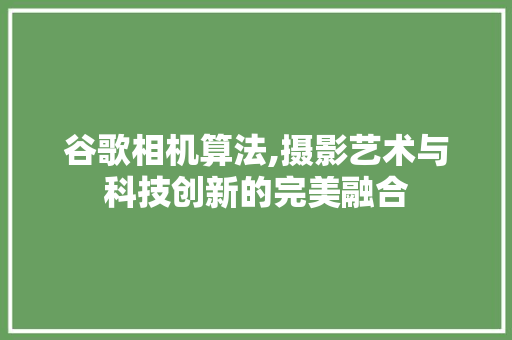 谷歌相机算法,摄影艺术与科技创新的完美融合