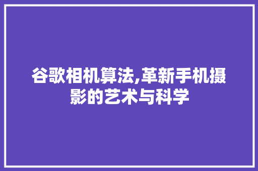 谷歌相机算法,革新手机摄影的艺术与科学