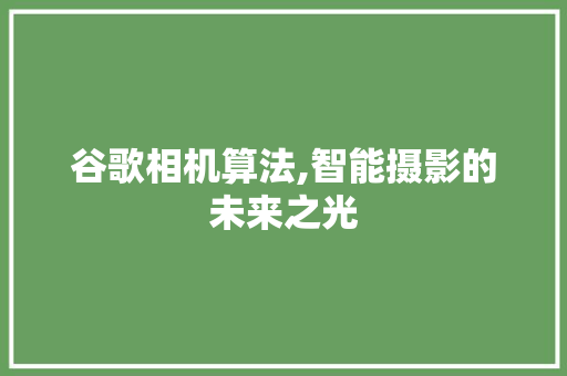 谷歌相机算法,智能摄影的未来之光