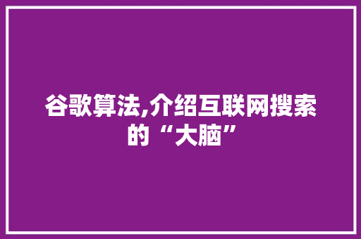 谷歌算法,介绍互联网搜索的“大脑”