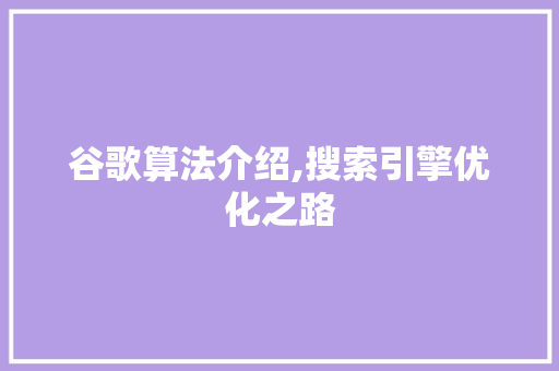 谷歌算法介绍,搜索引擎优化之路