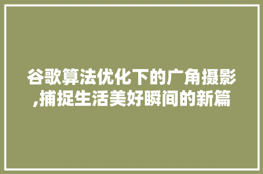 谷歌算法优化下的广角摄影,捕捉生活美好瞬间的新篇章