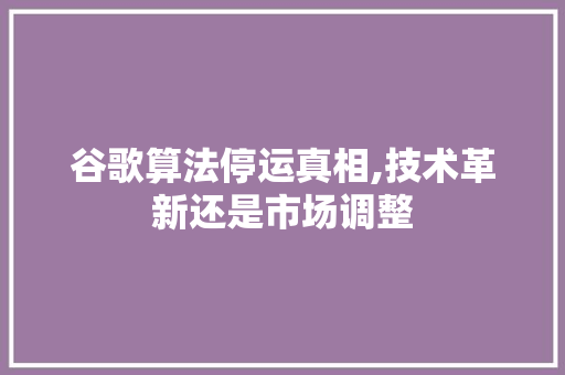 谷歌算法停运真相,技术革新还是市场调整