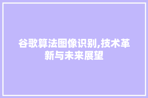 谷歌算法图像识别,技术革新与未来展望