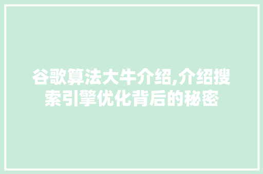 谷歌算法大牛介绍,介绍搜索引擎优化背后的秘密