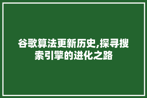 谷歌算法更新历史,探寻搜索引擎的进化之路