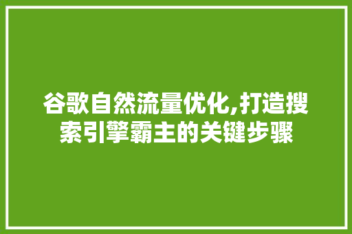 谷歌自然流量优化,打造搜索引擎霸主的关键步骤