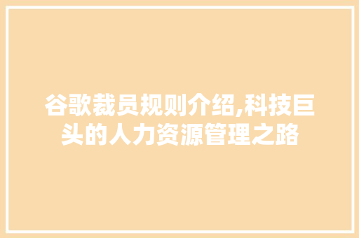 谷歌裁员规则介绍,科技巨头的人力资源管理之路