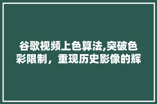 谷歌视频上色算法,突破色彩限制，重现历史影像的辉煌