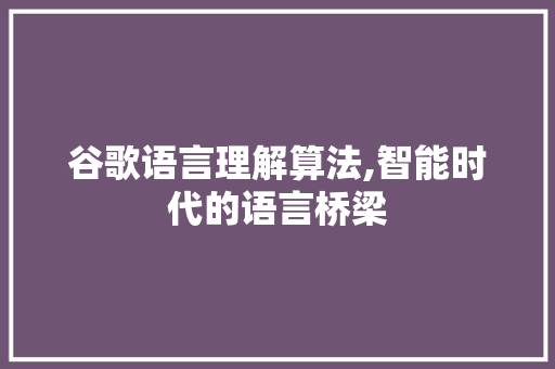 谷歌语言理解算法,智能时代的语言桥梁