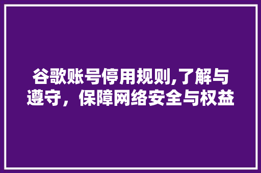 谷歌账号停用规则,了解与遵守，保障网络安全与权益