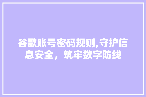 谷歌账号密码规则,守护信息安全，筑牢数字防线