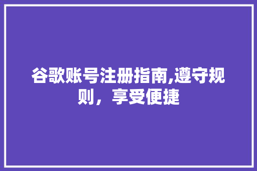 谷歌账号注册指南,遵守规则，享受便捷