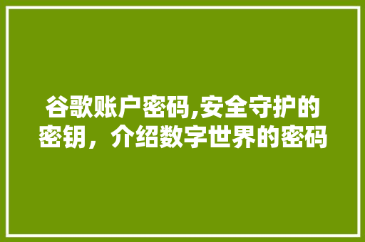 谷歌账户密码,安全守护的密钥，介绍数字世界的密码规则