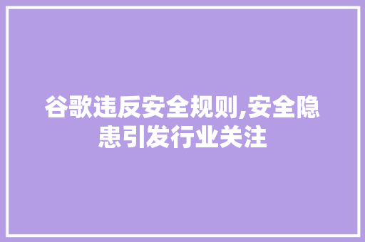 谷歌违反安全规则,安全隐患引发行业关注