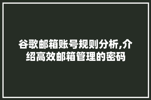 谷歌邮箱账号规则分析,介绍高效邮箱管理的密码