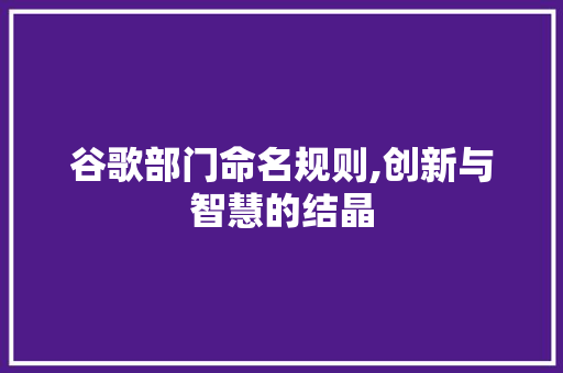 谷歌部门命名规则,创新与智慧的结晶