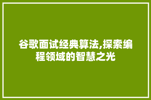 谷歌面试经典算法,探索编程领域的智慧之光