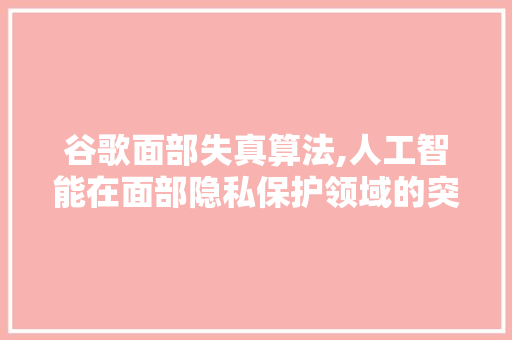 谷歌面部失真算法,人工智能在面部隐私保护领域的突破与创新