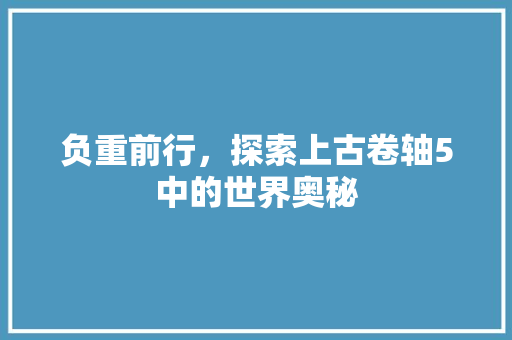 负重前行，探索上古卷轴5中的世界奥秘