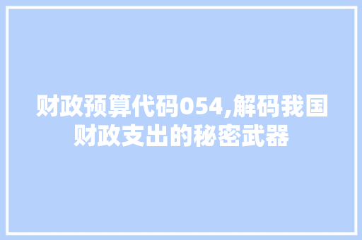 财政预算代码054,解码我国财政支出的秘密武器