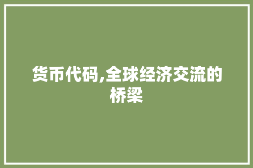 货币代码,全球经济交流的桥梁