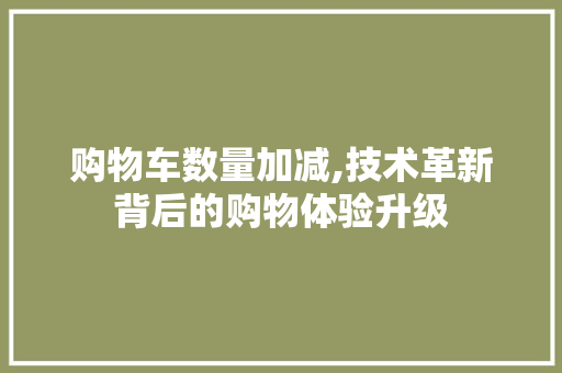 购物车数量加减,技术革新背后的购物体验升级