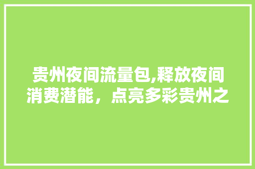 贵州夜间流量包,释放夜间消费潜能，点亮多彩贵州之夜