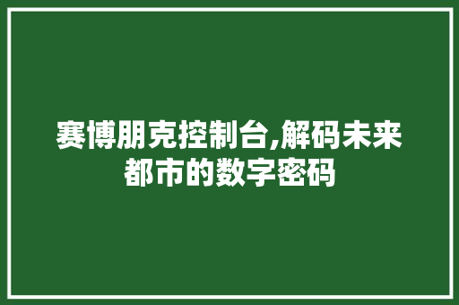 赛博朋克控制台,解码未来都市的数字密码