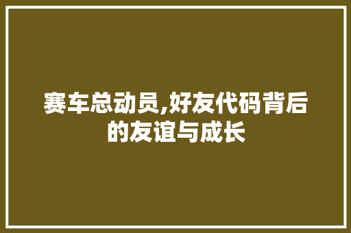 赛车总动员,好友代码背后的友谊与成长