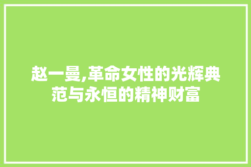 赵一曼,革命女性的光辉典范与永恒的精神财富